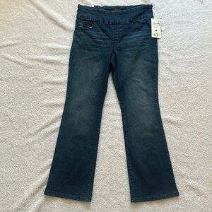 Gloria Vanderbilt denim stretch jeans, size 12 short